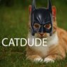 CatDude