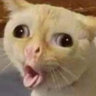 hichmala